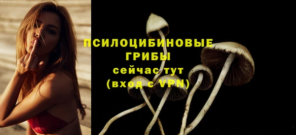 синтетический гашиш Михайловка