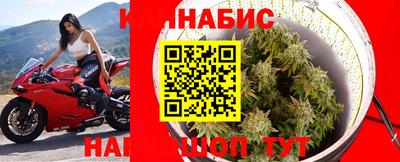 PSILOCYBIN Волжск
