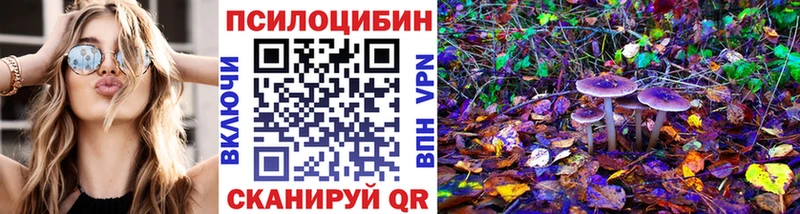 продажа наркотиков  Шадринск  Псилоцибиновые грибы Magic Shrooms 