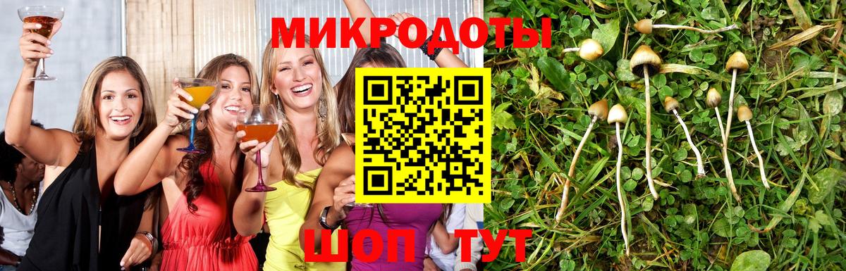 Псилоцибиновые грибы ЛСД Шадринск